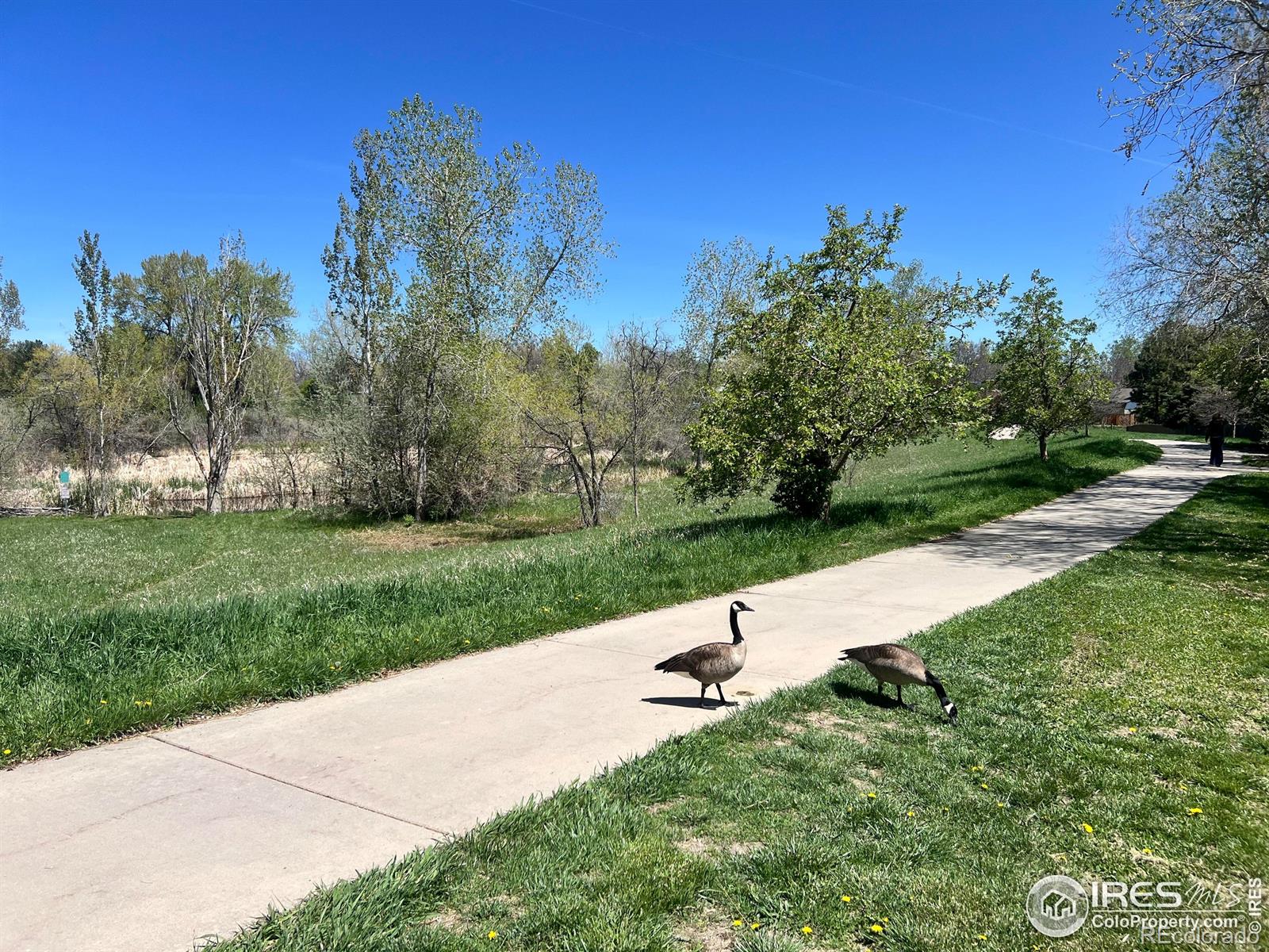 MLS Image #34 for 1359  caledonia circle,louisville, Colorado