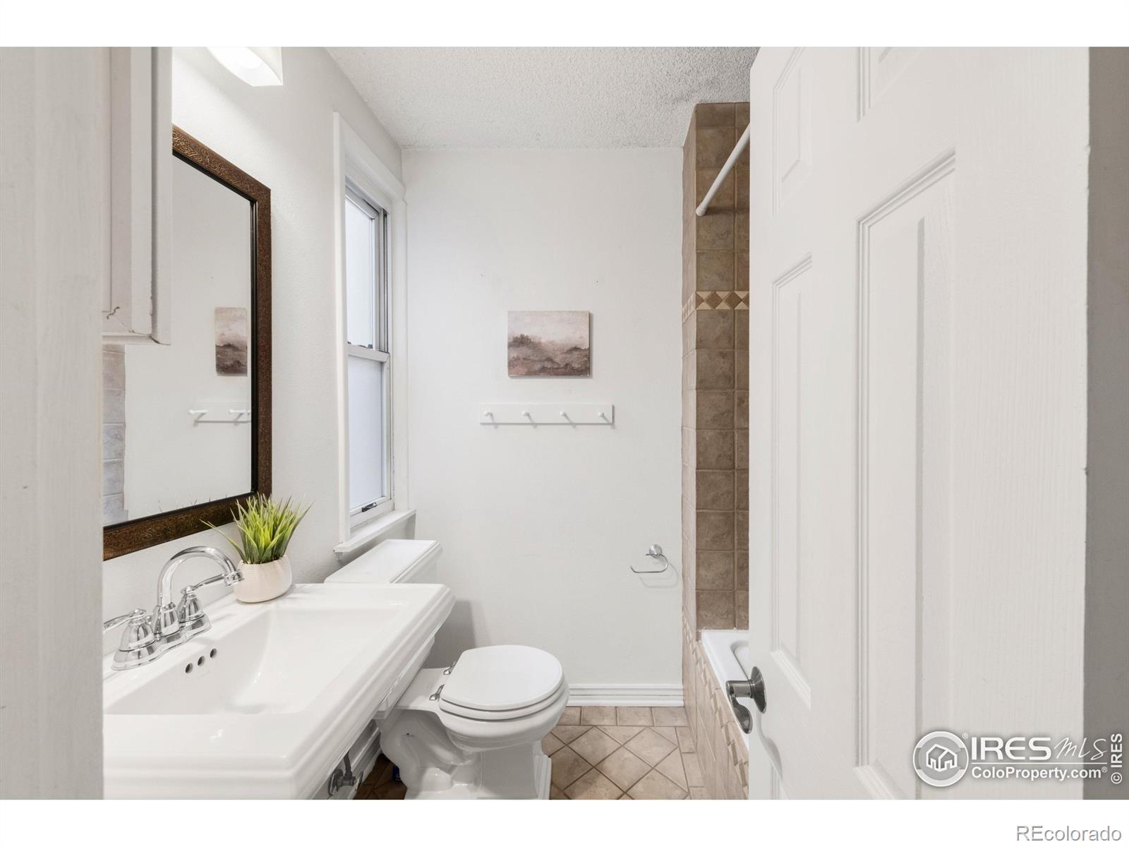 MLS Image #30 for 135 e 8th avenue,denver, Colorado