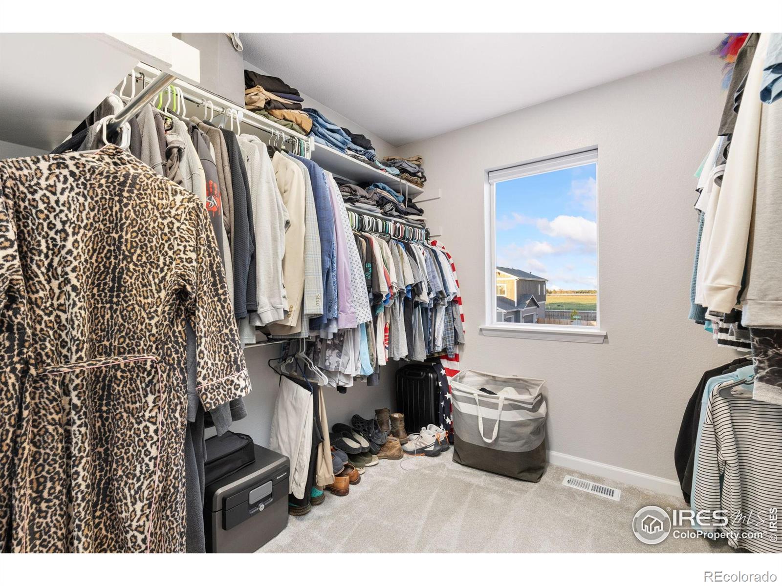 MLS Image #22 for 1495 s sunfield drive,milliken, Colorado