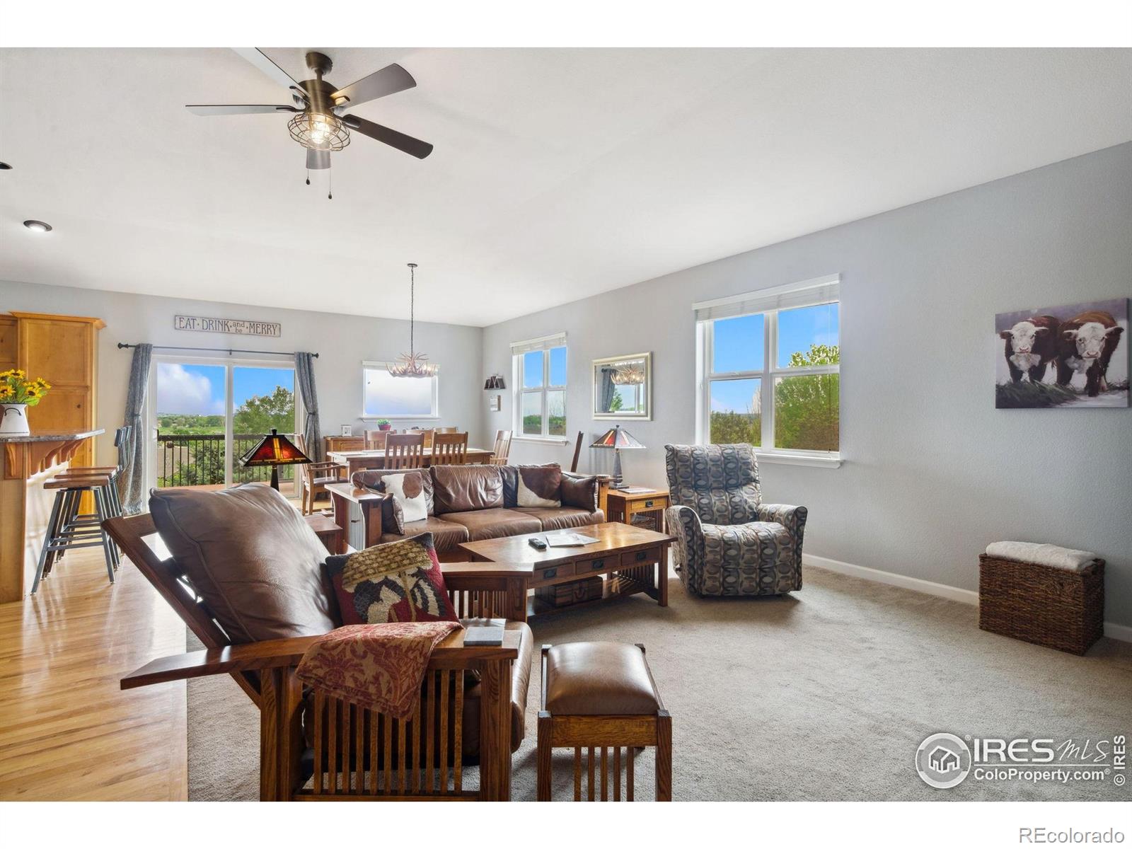 MLS Image #10 for 1755  dolores river drive,windsor, Colorado