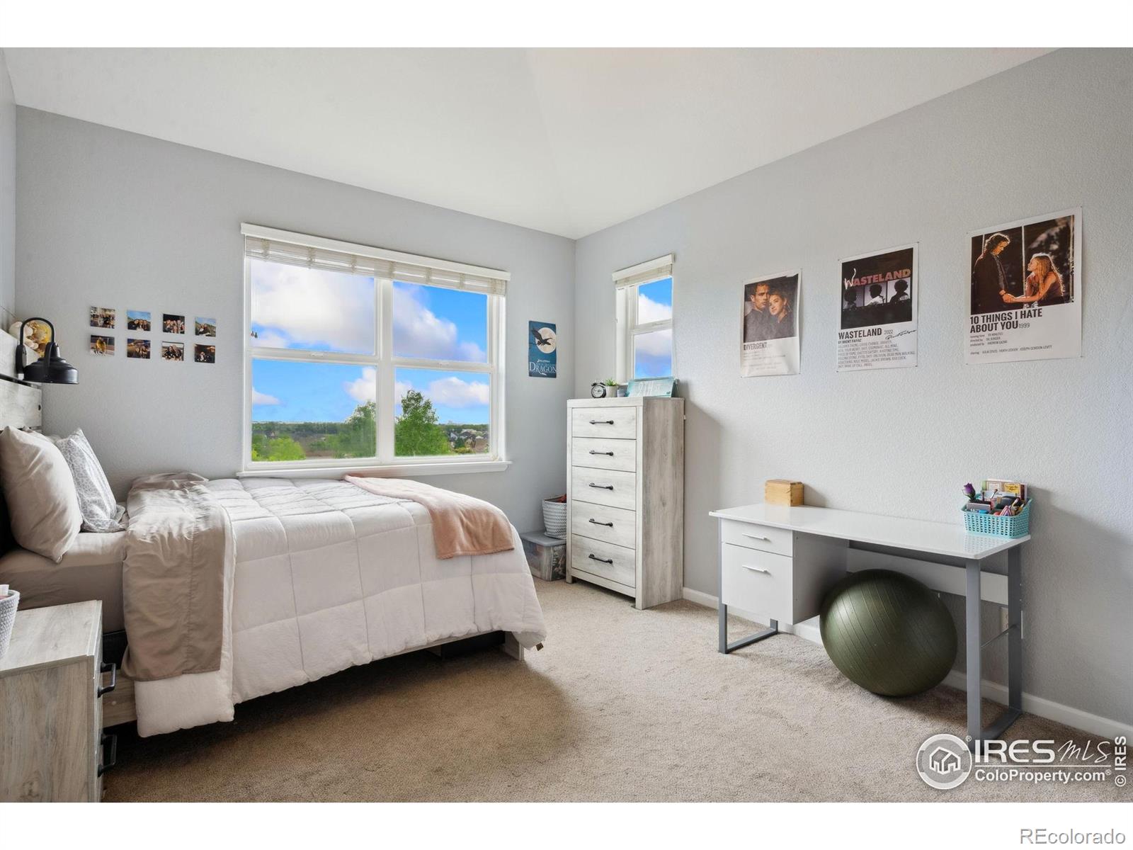 MLS Image #17 for 1755  dolores river drive,windsor, Colorado