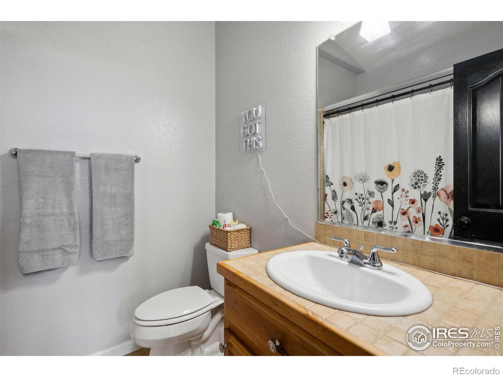 MLS Image #19 for 1755  dolores river drive,windsor, Colorado