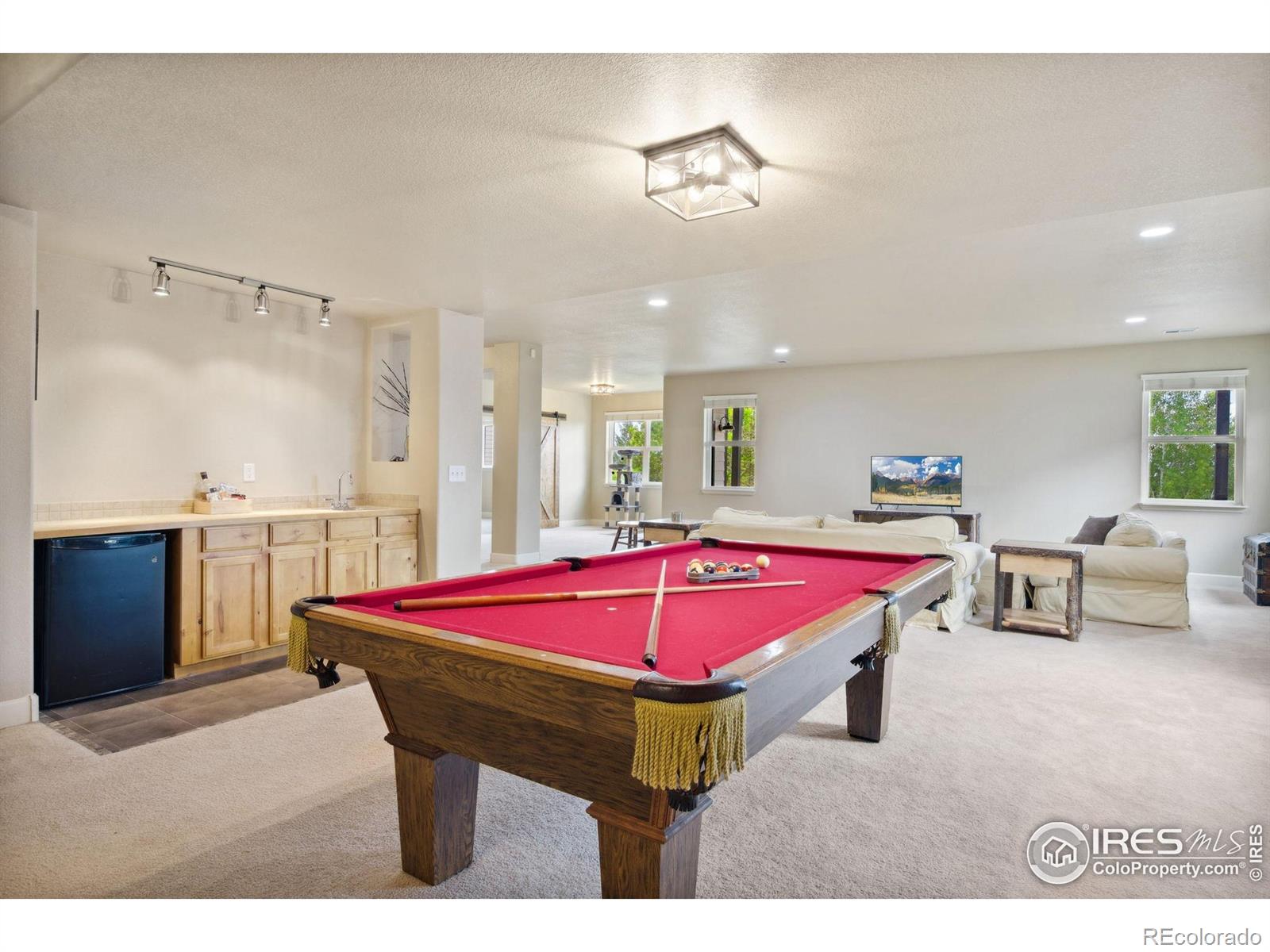 MLS Image #24 for 1755  dolores river drive,windsor, Colorado