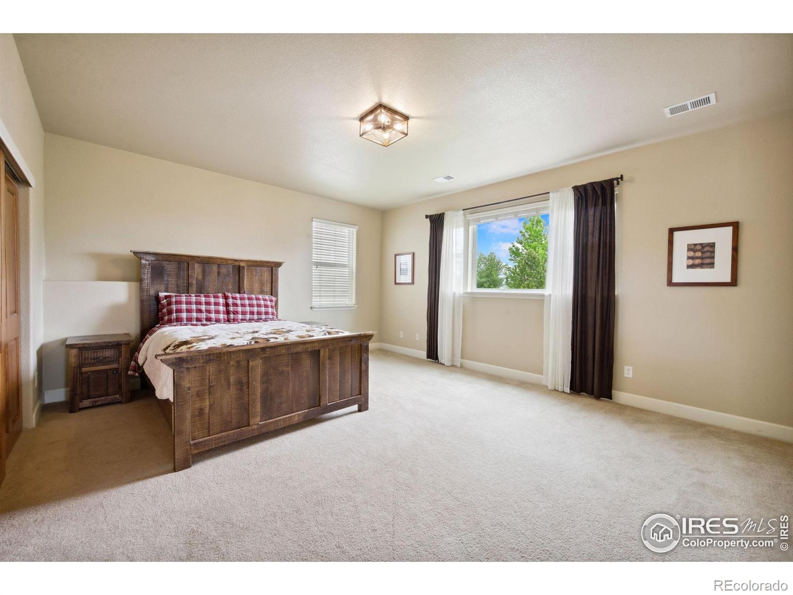 MLS Image #27 for 1755  dolores river drive,windsor, Colorado