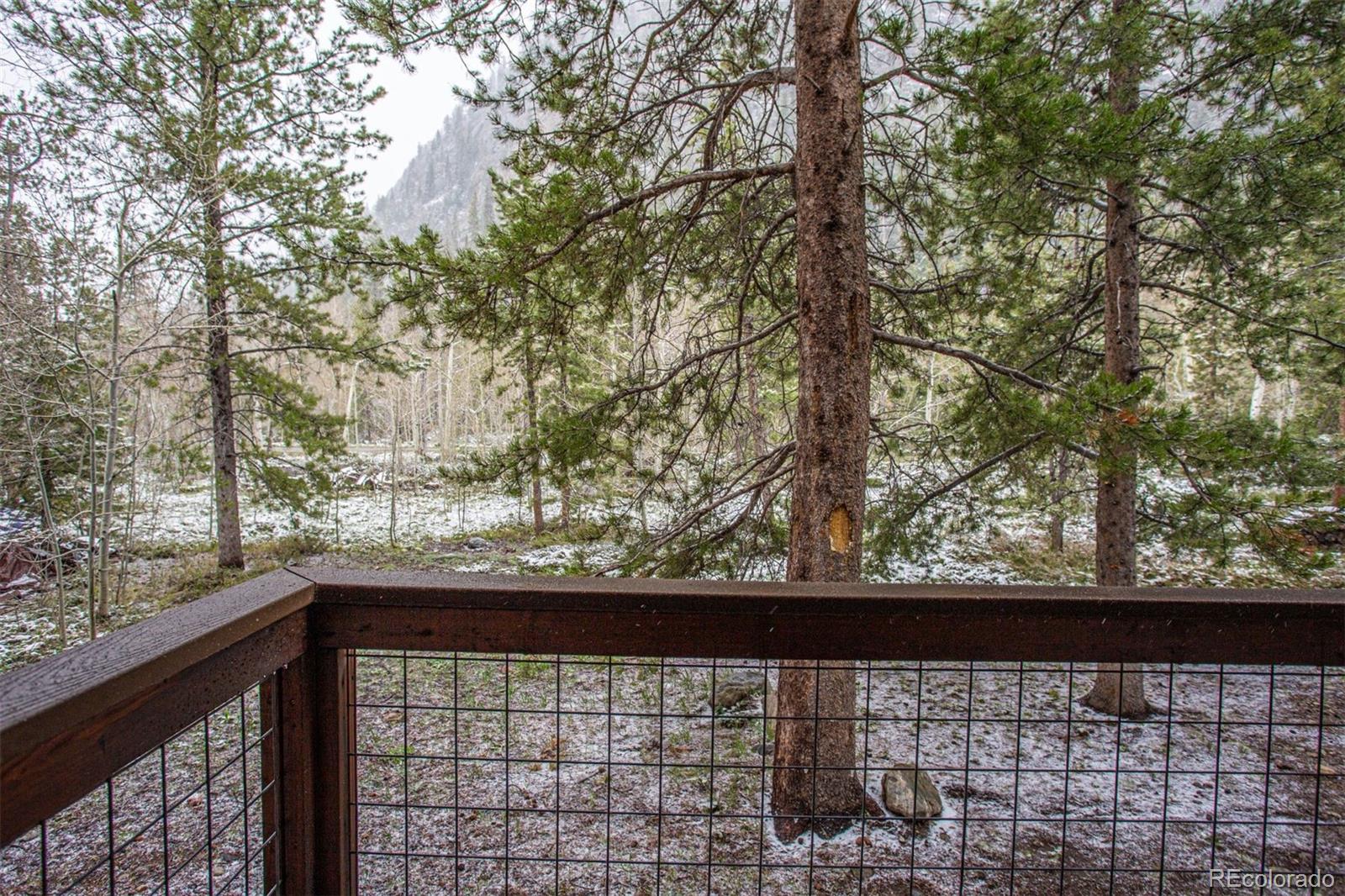 MLS Image #21 for 324 w main street,frisco, Colorado