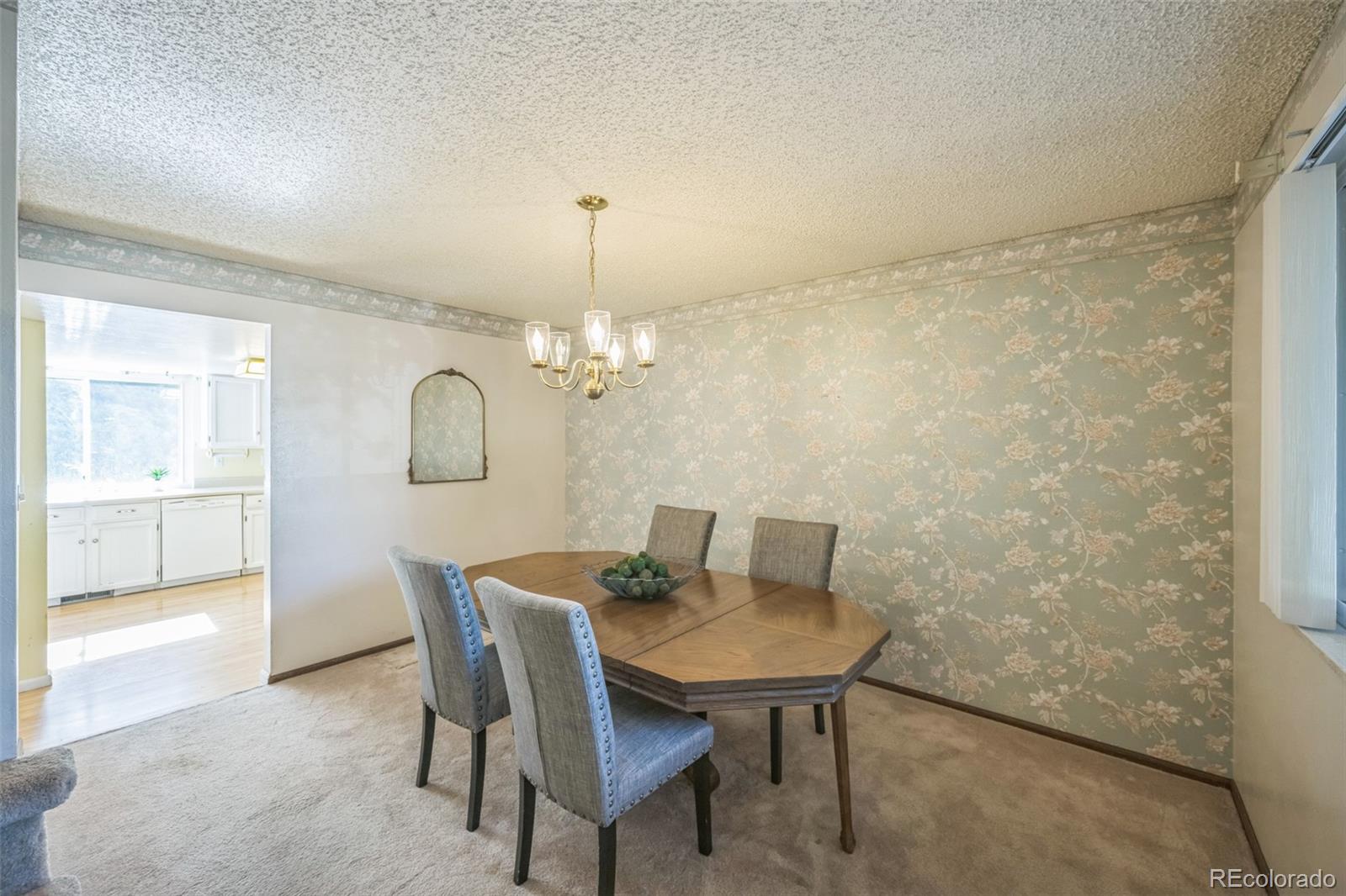 MLS Image #10 for 4474 s vrain street,denver, Colorado