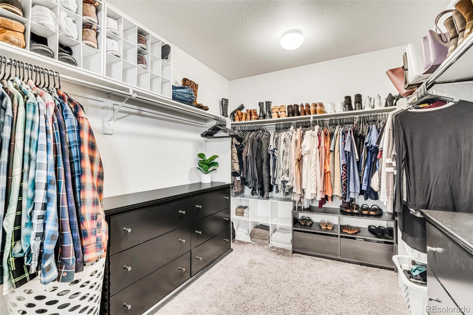 MLS Image #28 for 10140  seawolf drive,colorado springs, Colorado