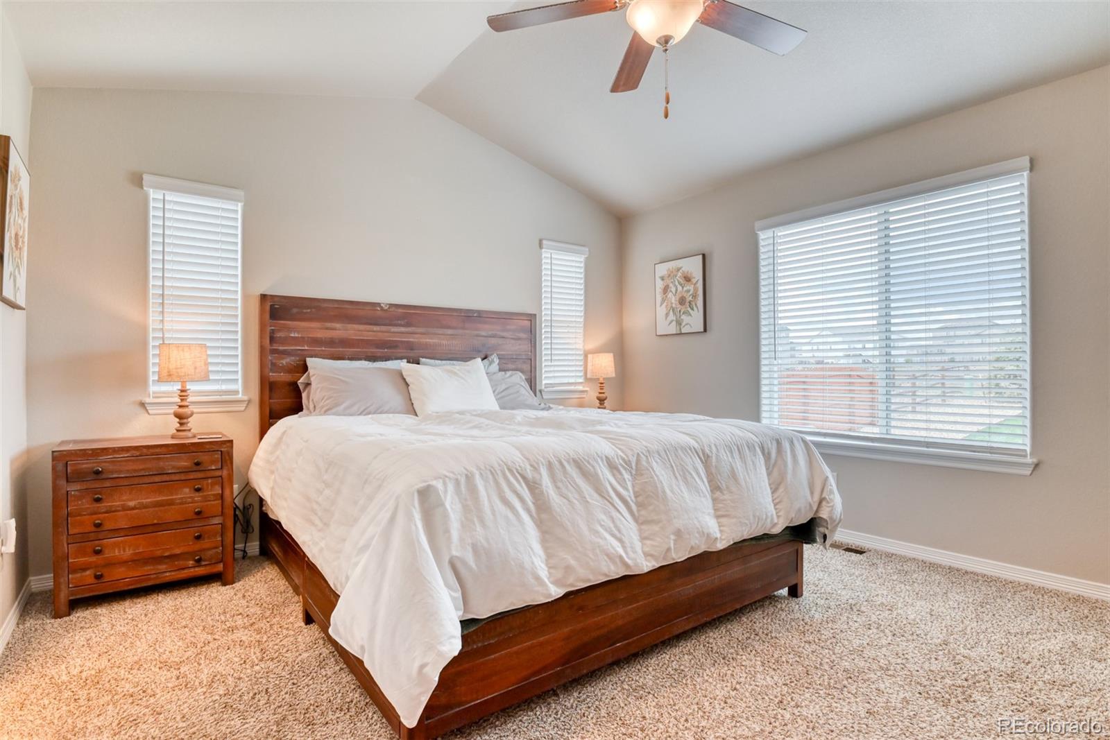 MLS Image #12 for 12718  windingwalk drive,peyton, Colorado