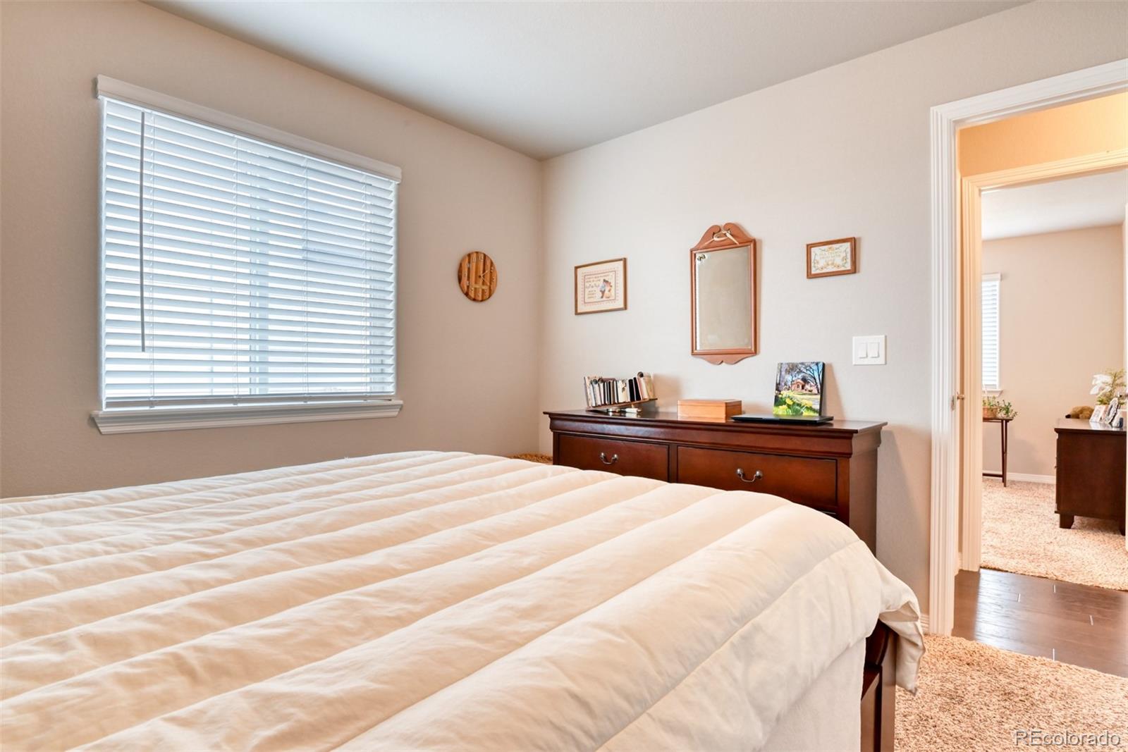 MLS Image #18 for 12718  windingwalk drive,peyton, Colorado