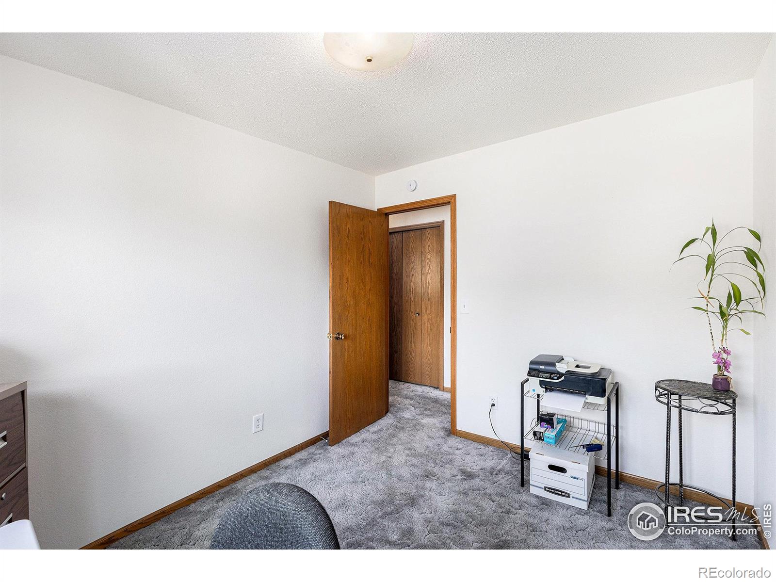 MLS Image #20 for 1107 n redbud drive,loveland, Colorado