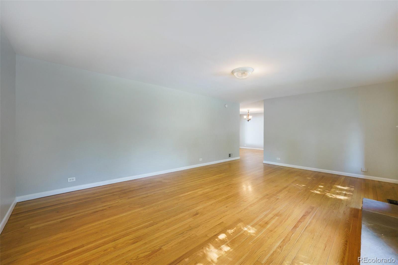 MLS Image #5 for 291  magnolia street,denver, Colorado