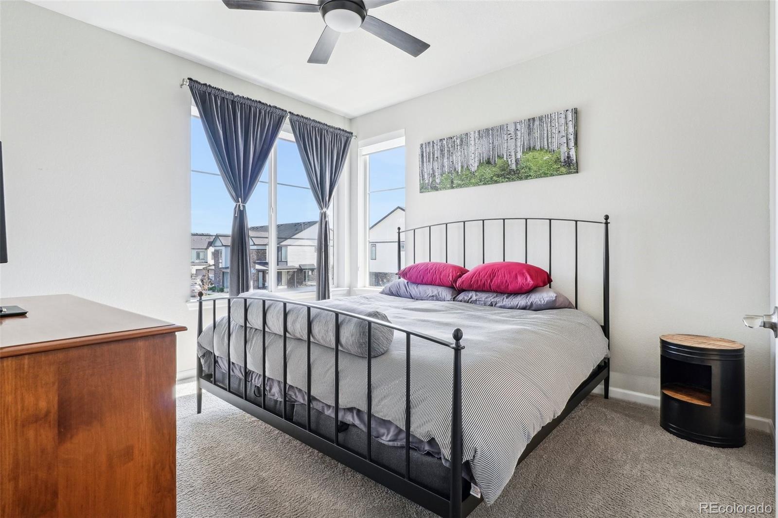 MLS Image #12 for 19733 w 93rd lane,arvada, Colorado
