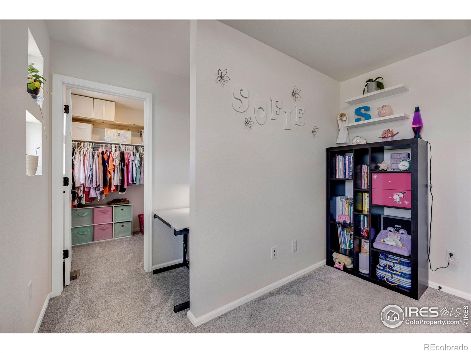 MLS Image #19 for 542  highlands circle,erie, Colorado