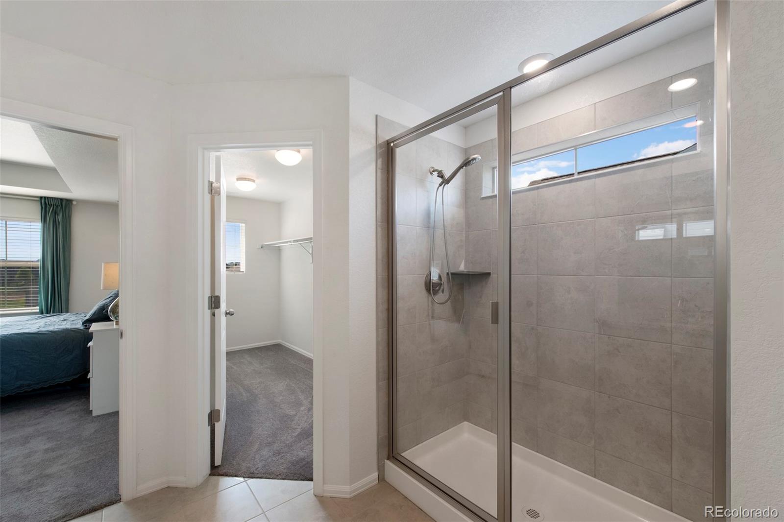 MLS Image #20 for 12826  lake port street,longmont, Colorado