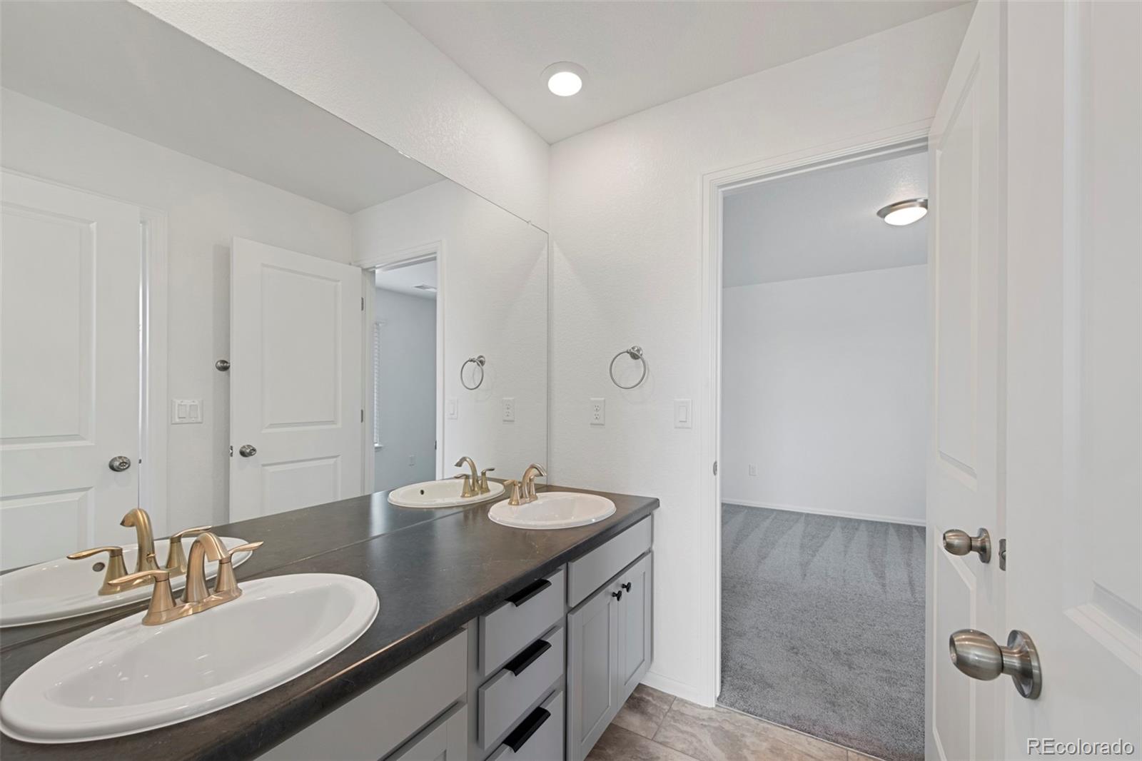 MLS Image #23 for 12826  lake port street,longmont, Colorado