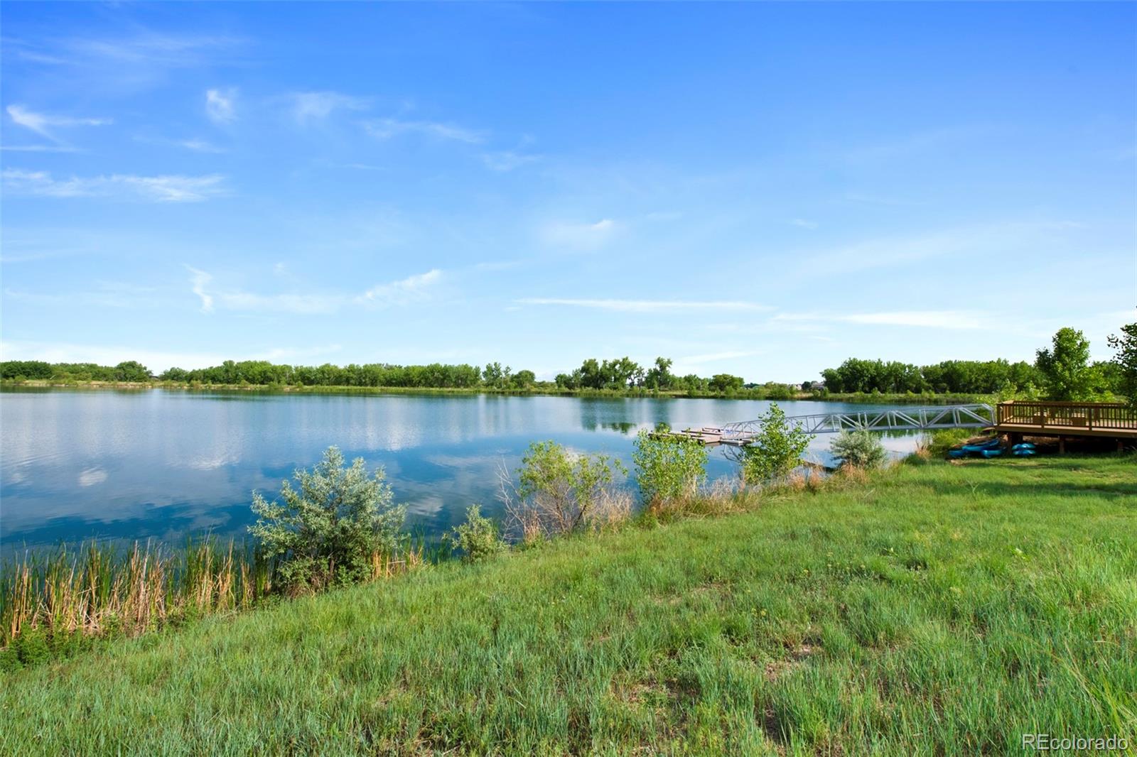 MLS Image #39 for 12826  lake port street,longmont, Colorado