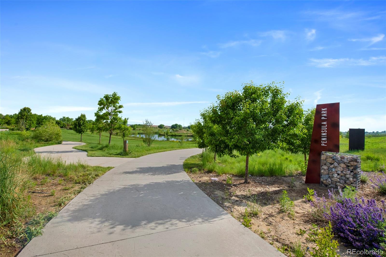 MLS Image #42 for 12826  lake port street,longmont, Colorado