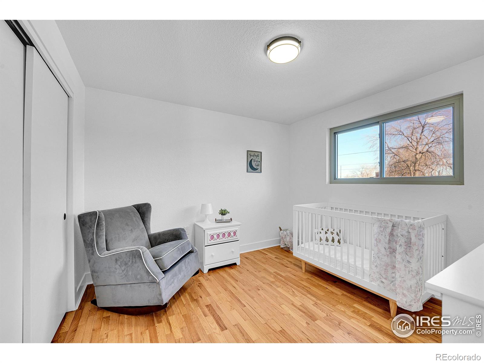 MLS Image #13 for 4642  everett court,wheat ridge, Colorado