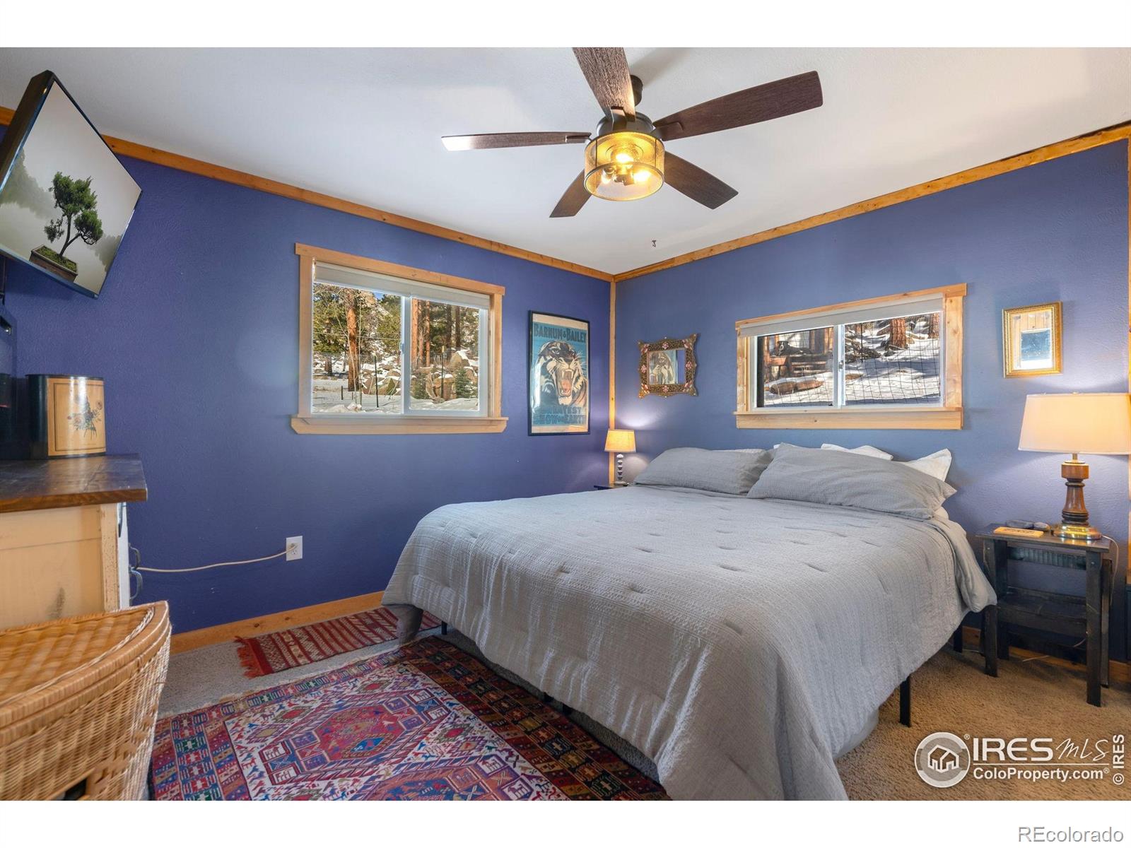MLS Image #17 for 810  larkspur road,estes park, Colorado