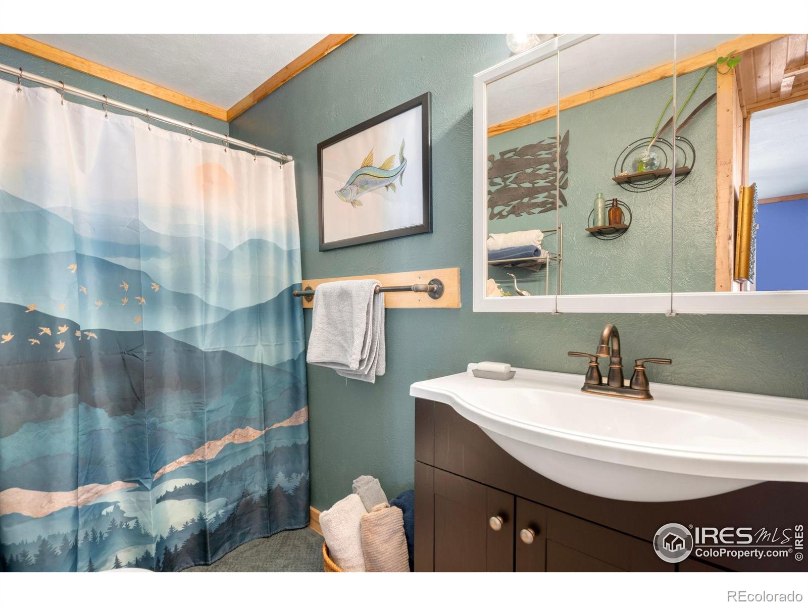 MLS Image #20 for 810  larkspur road,estes park, Colorado
