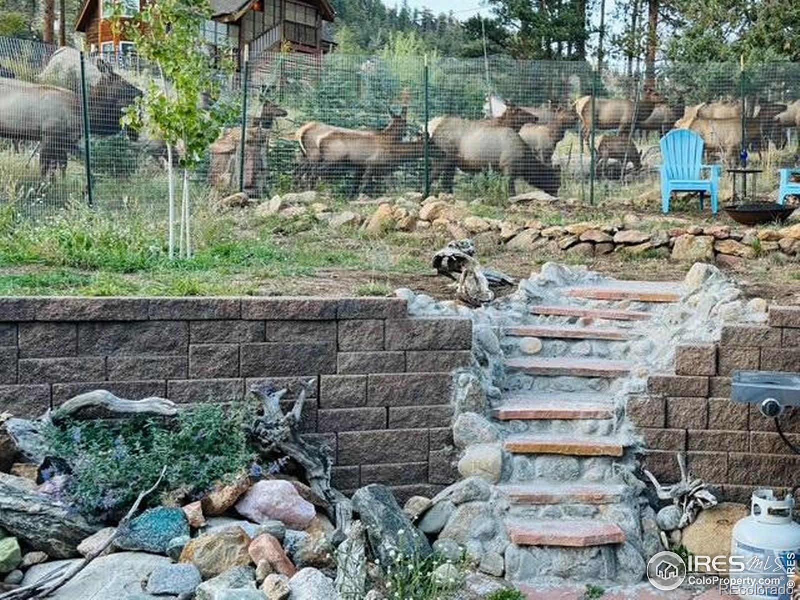 MLS Image #31 for 810  larkspur road,estes park, Colorado