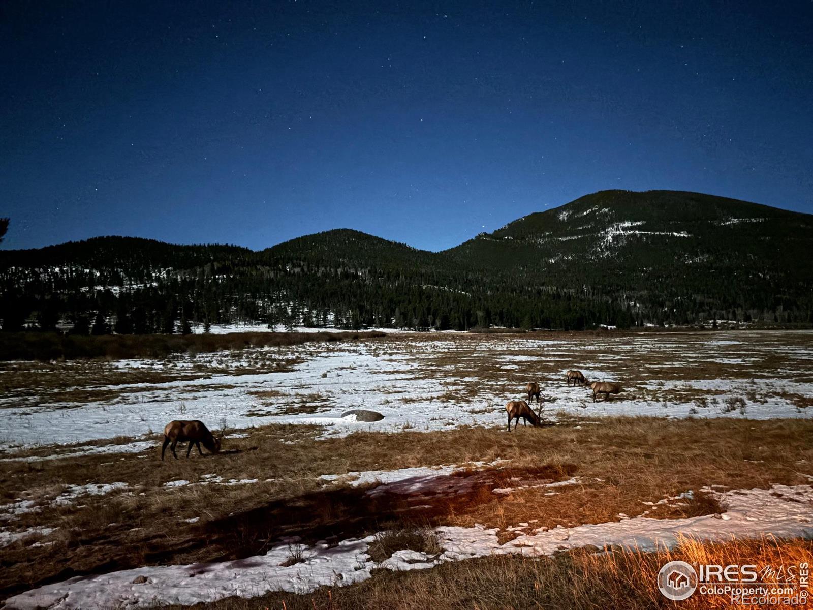 MLS Image #37 for 810  larkspur road,estes park, Colorado
