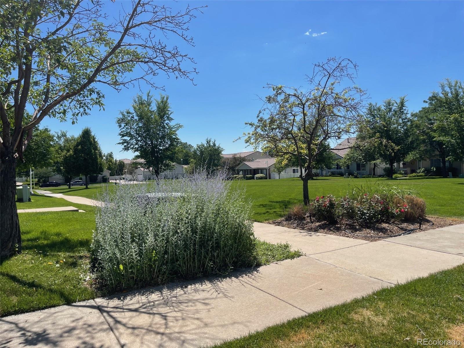 MLS Image #36 for 11832  zenobia loop,westminster, Colorado