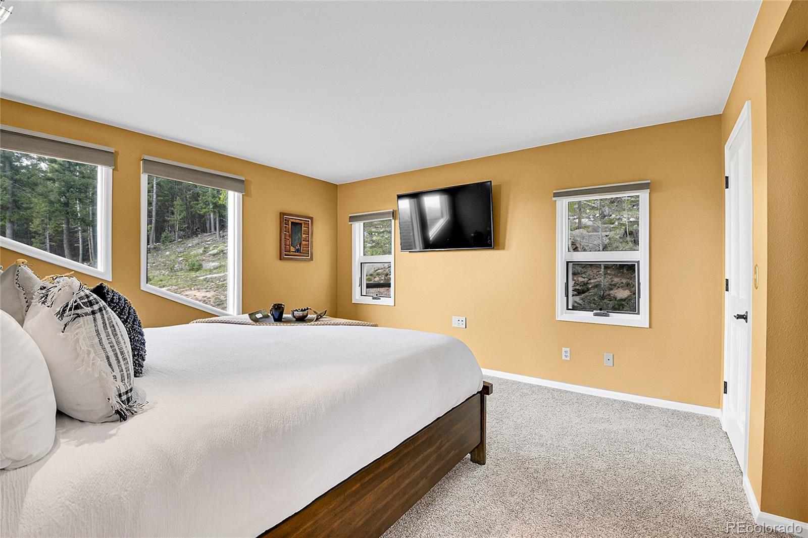 MLS Image #13 for 30382  marys drive,conifer, Colorado