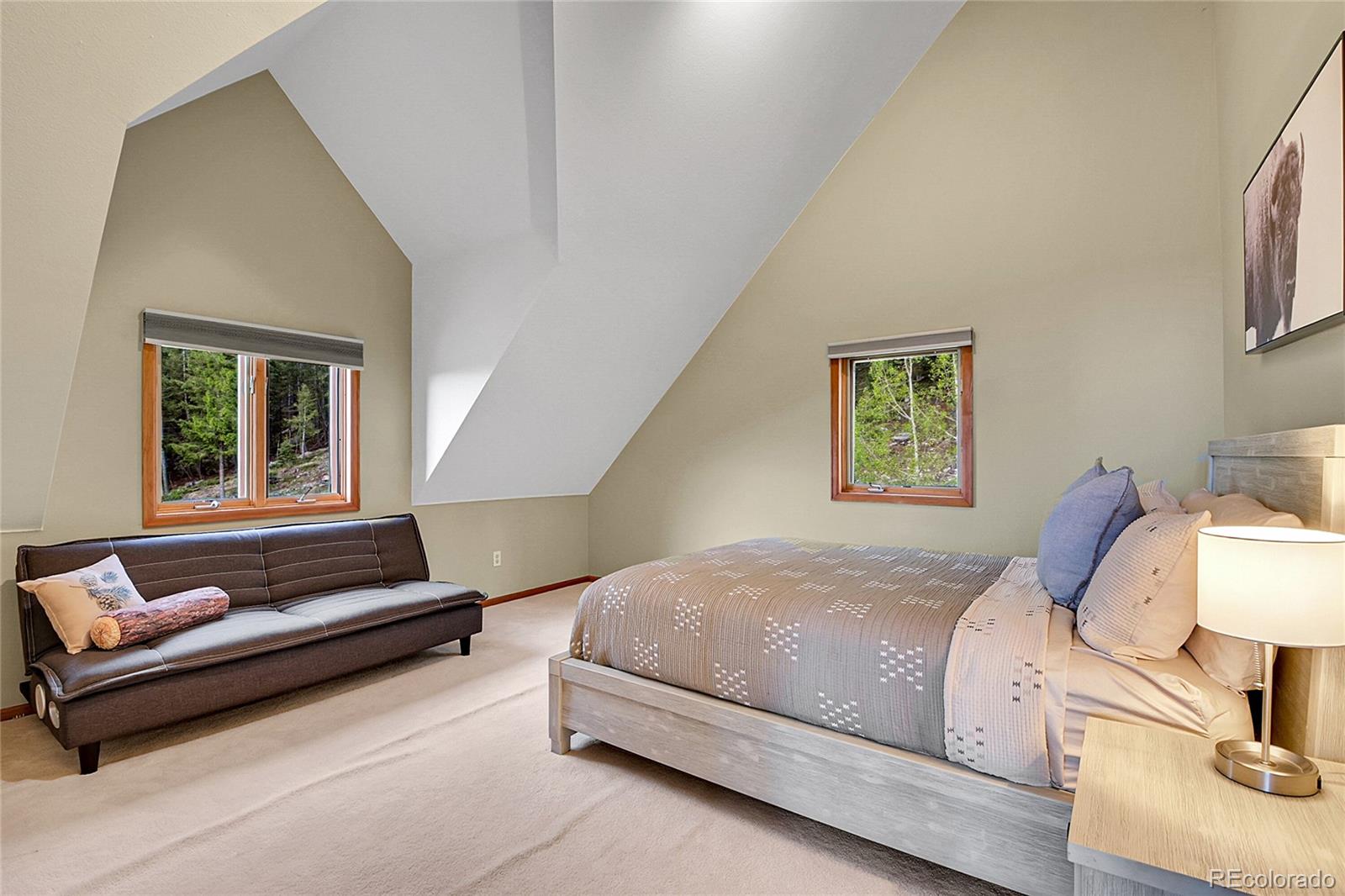 MLS Image #22 for 30382  marys drive,conifer, Colorado