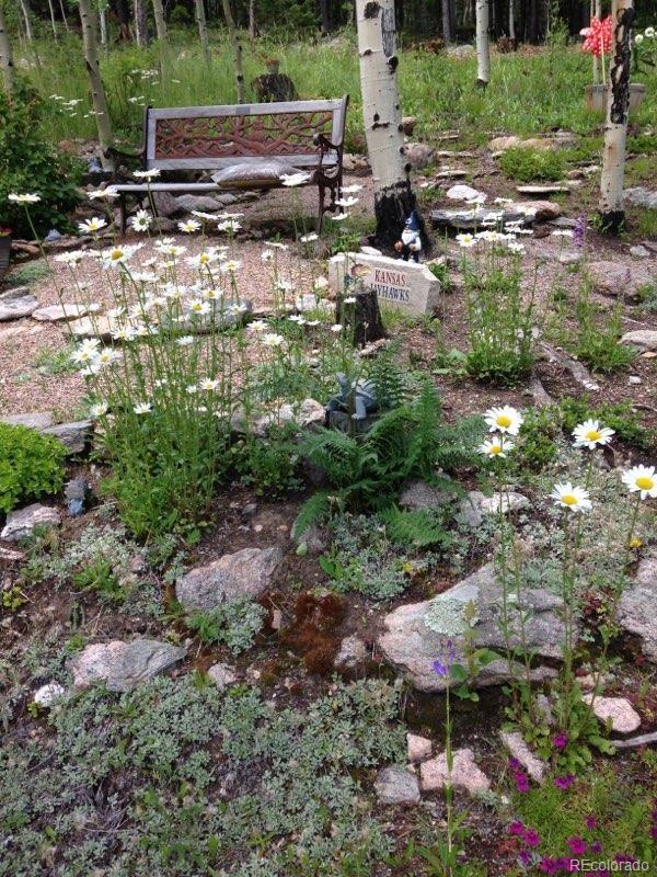 MLS Image #41 for 30382  marys drive,conifer, Colorado