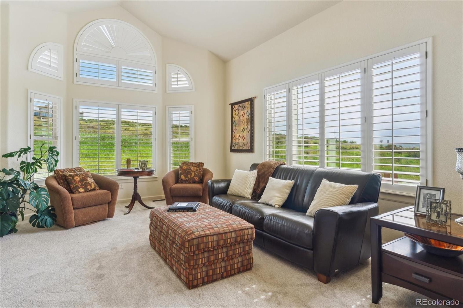 MLS Image #10 for 7289  stroh road,parker, Colorado