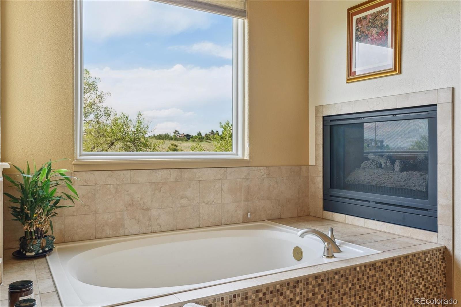 MLS Image #29 for 7289  stroh road,parker, Colorado