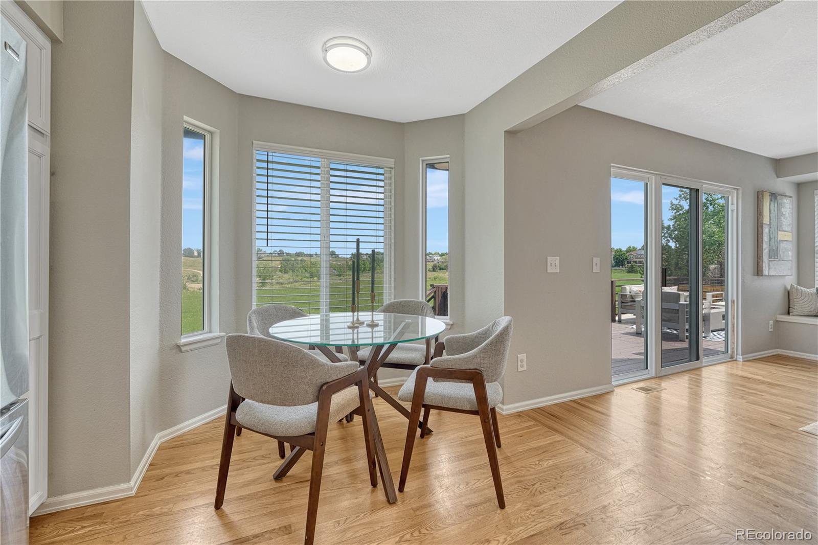 MLS Image #13 for 901  sage sparrow circle,highlands ranch, Colorado