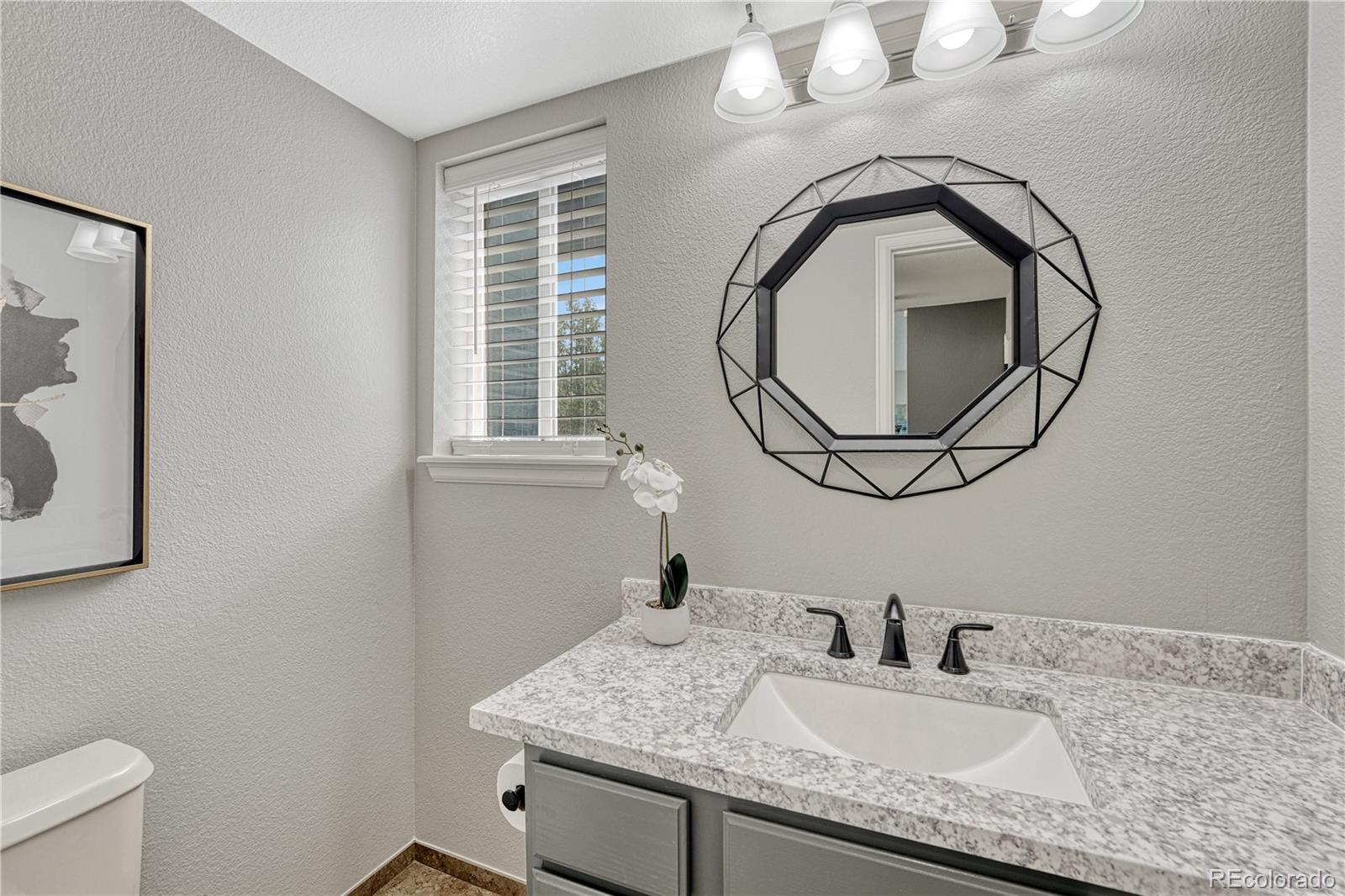 MLS Image #20 for 901  sage sparrow circle,highlands ranch, Colorado