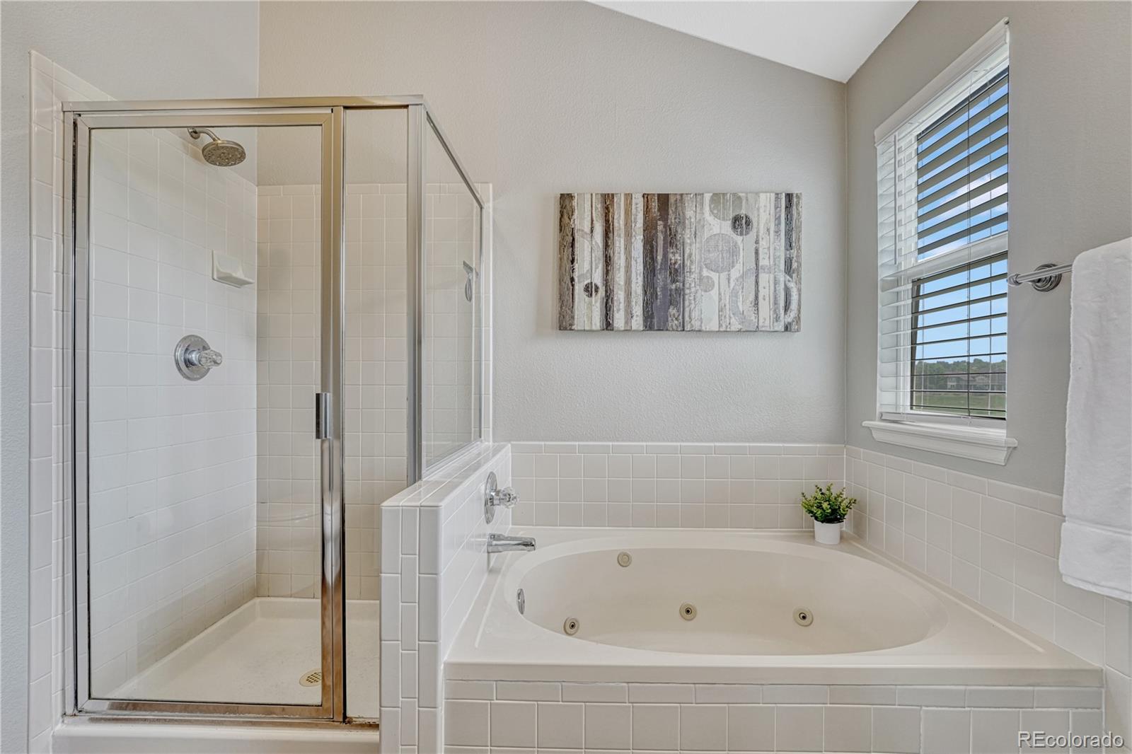 MLS Image #24 for 901  sage sparrow circle,highlands ranch, Colorado