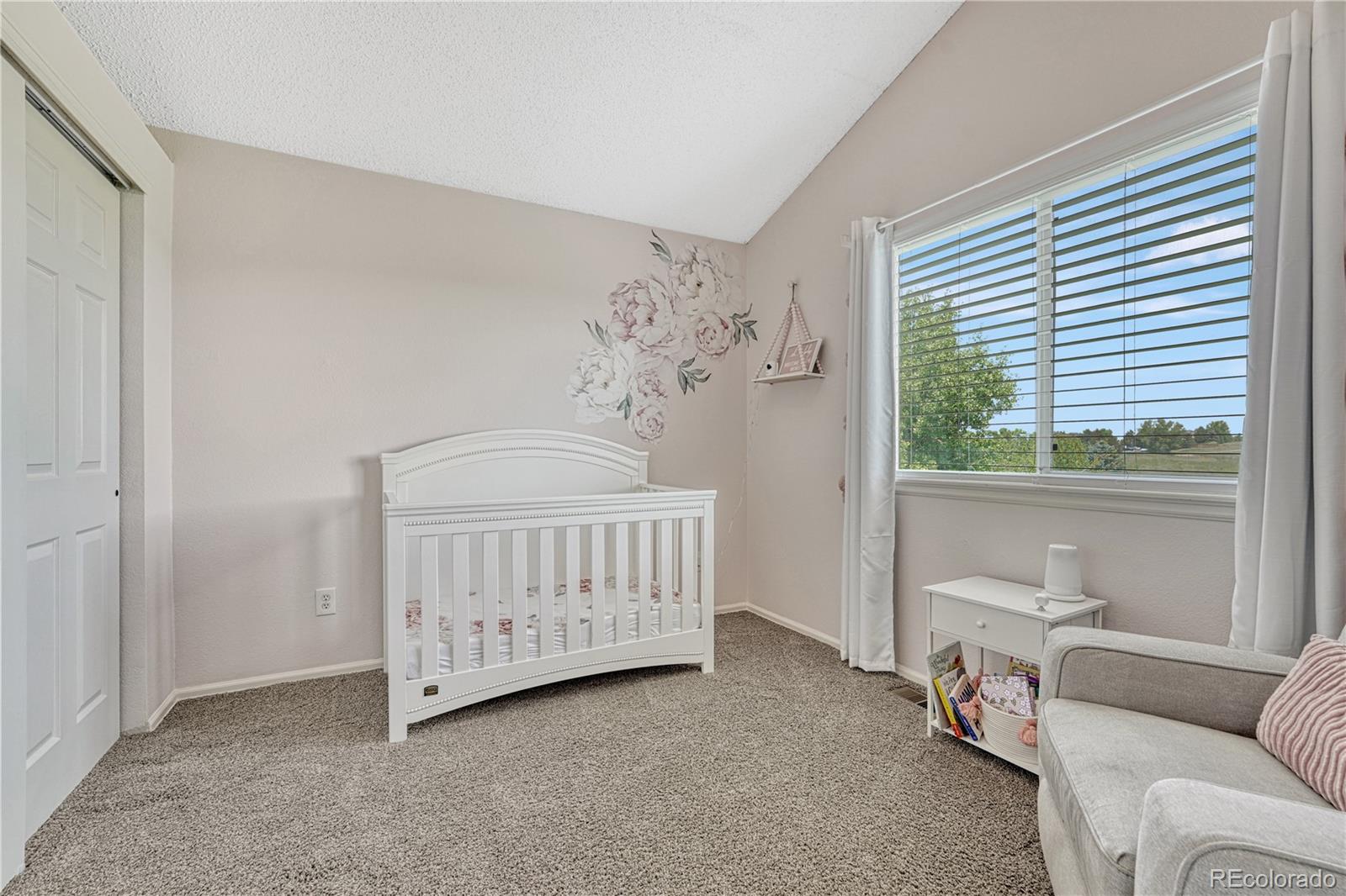 MLS Image #25 for 901  sage sparrow circle,highlands ranch, Colorado