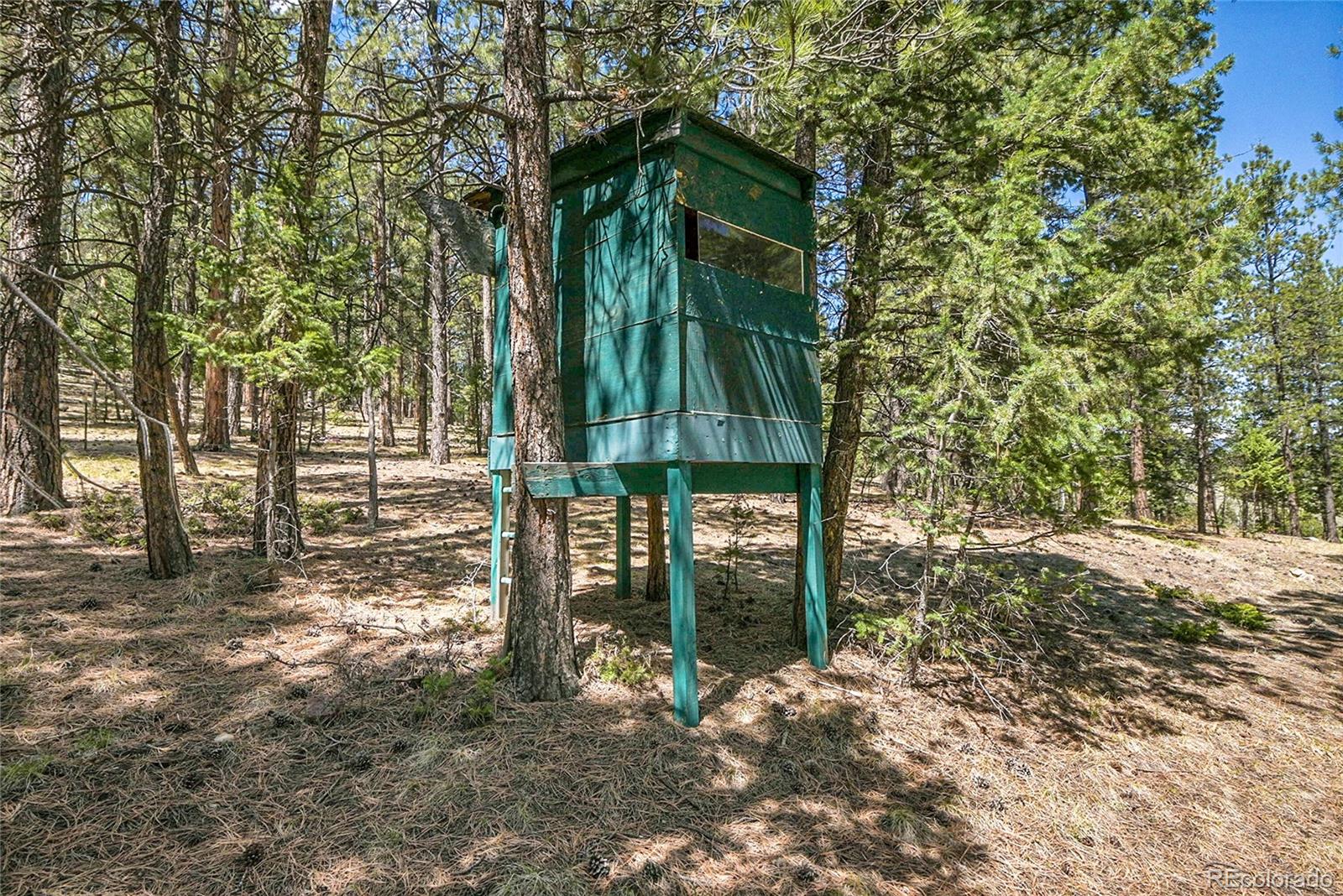 MLS Image #28 for 700  rosalie road,bailey, Colorado