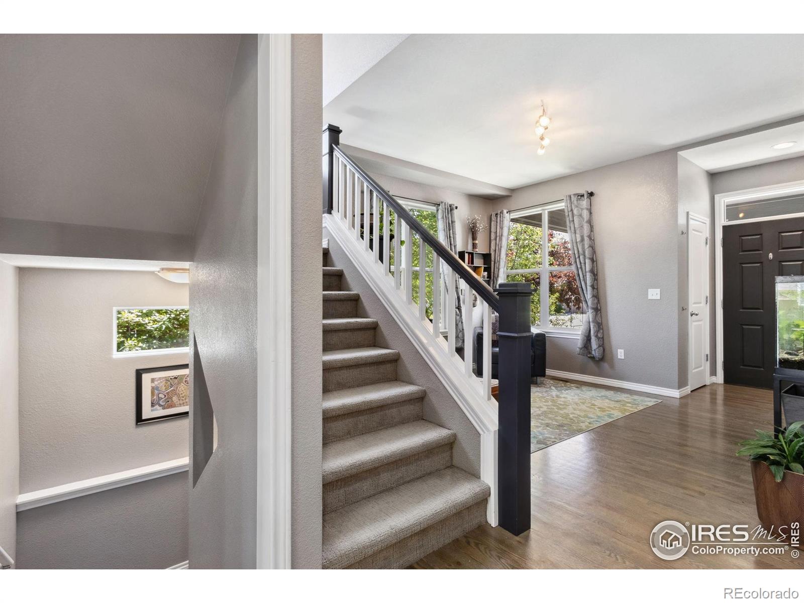 MLS Image #3 for 2620  brush creek drive,fort collins, Colorado