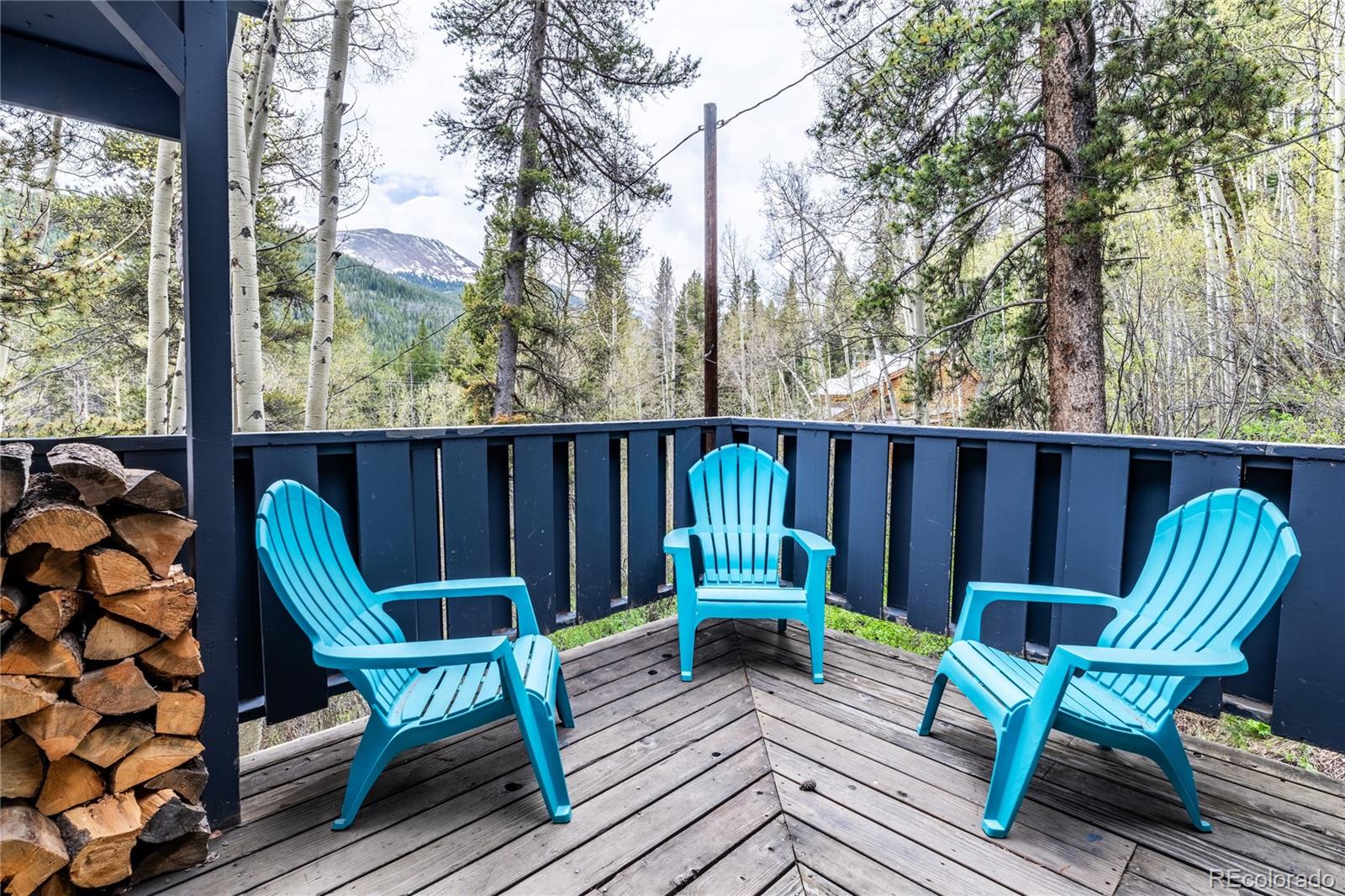 MLS Image #18 for 6365  highway 9 ,breckenridge, Colorado