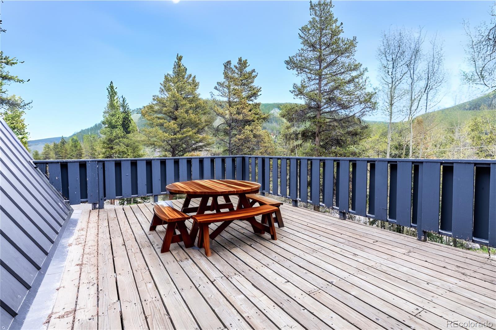 MLS Image #41 for 6365  highway 9 ,breckenridge, Colorado