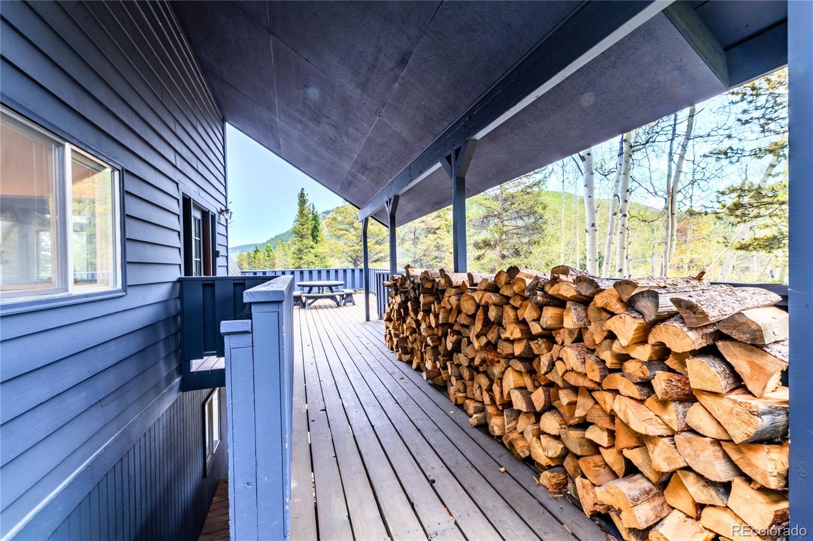MLS Image #43 for 6365  highway 9 ,breckenridge, Colorado