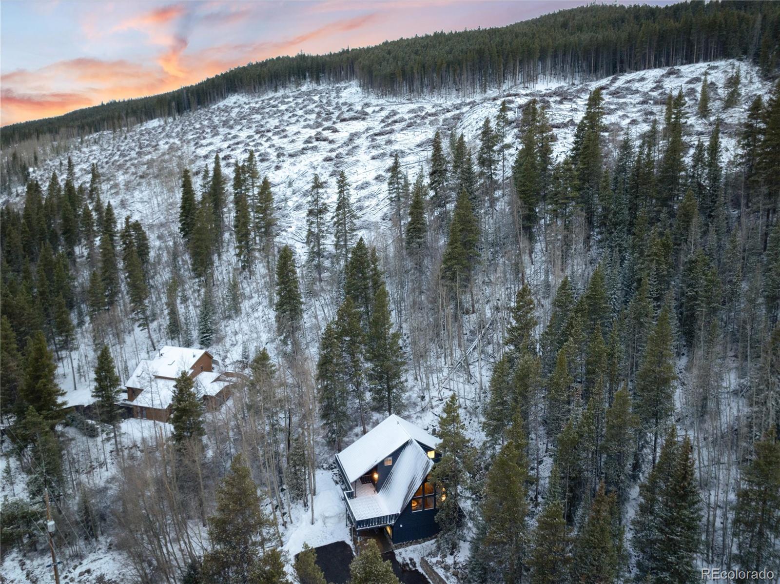 MLS Image #44 for 6365  highway 9 ,breckenridge, Colorado