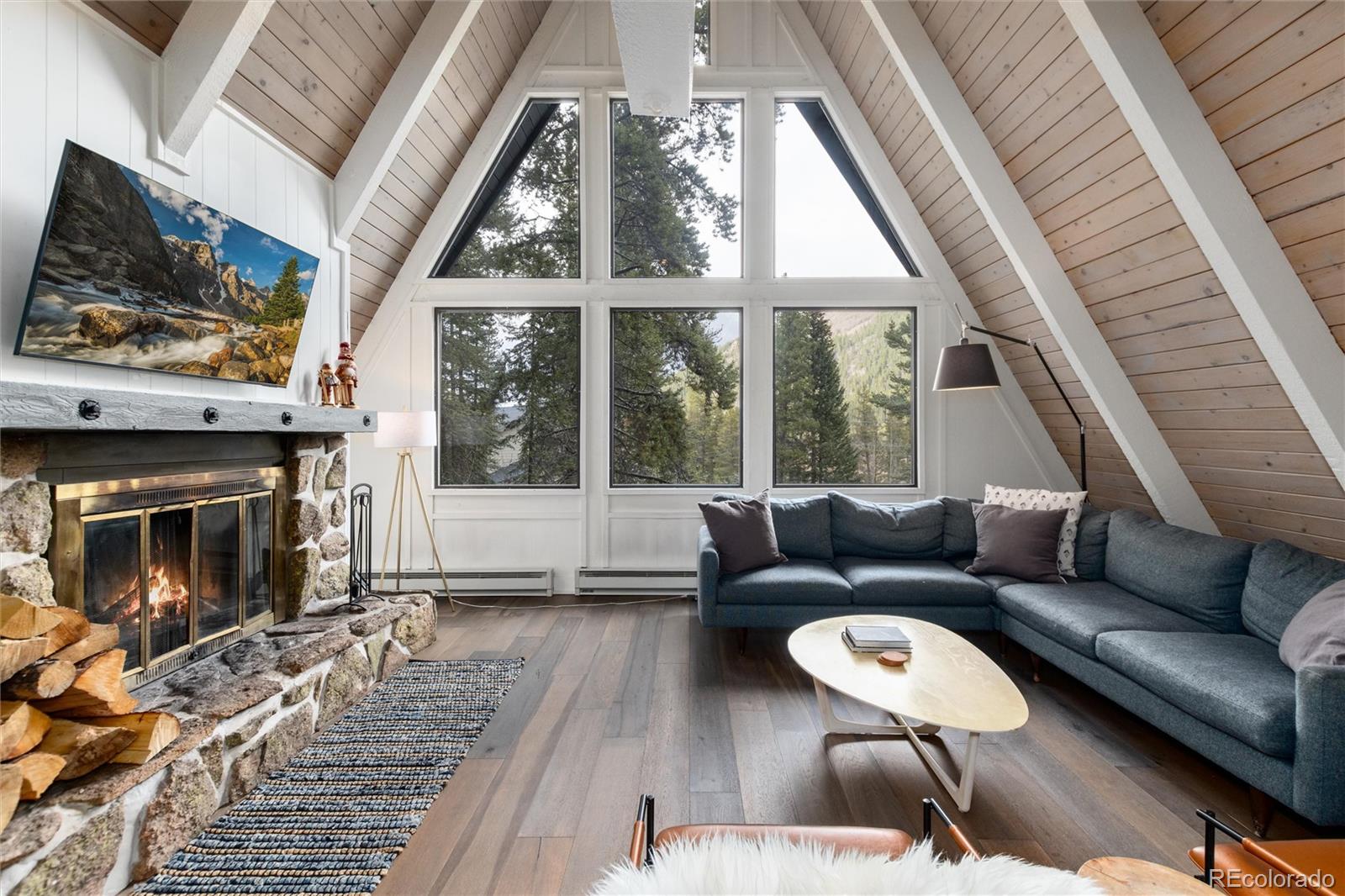 MLS Image #6 for 6365  highway 9 ,breckenridge, Colorado