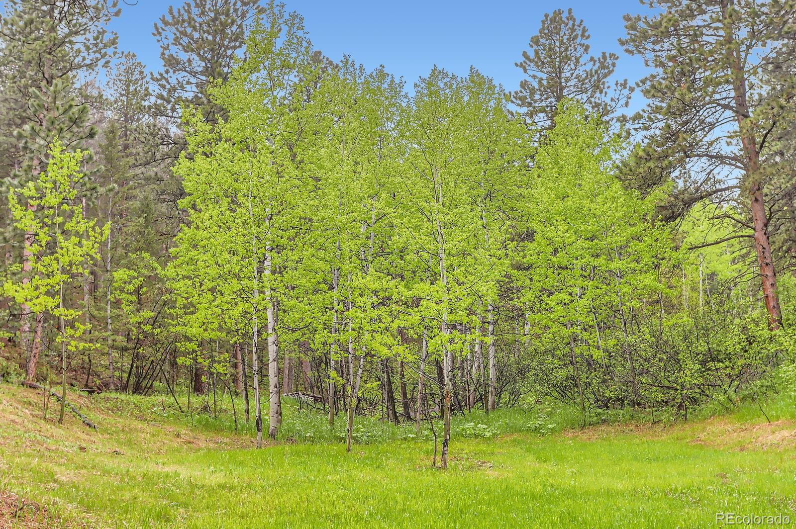MLS Image #23 for 30690  highway 72 ,golden, Colorado