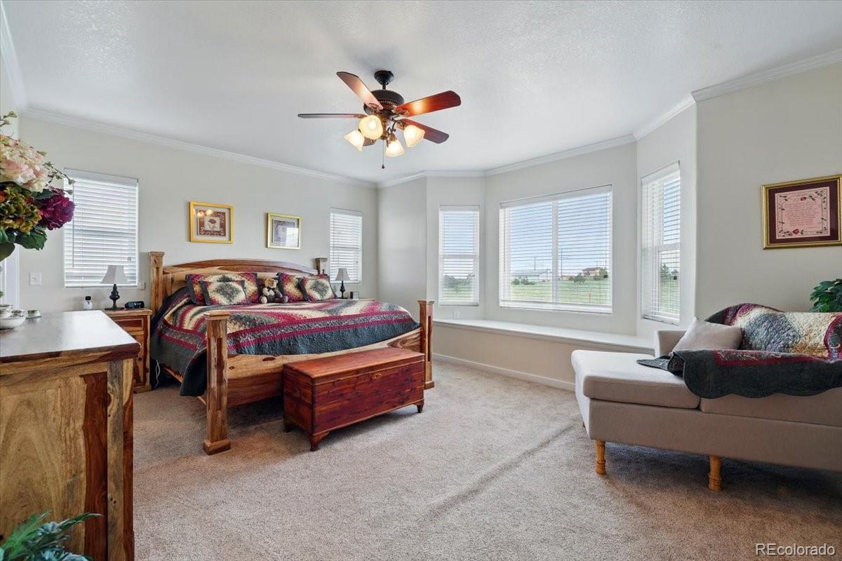 MLS Image #16 for 10830  arrowgrass loop,peyton, Colorado