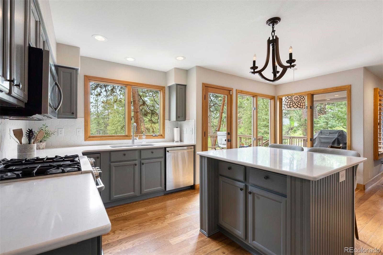 MLS Image #18 for 29962  troutdale ridge road,evergreen, Colorado