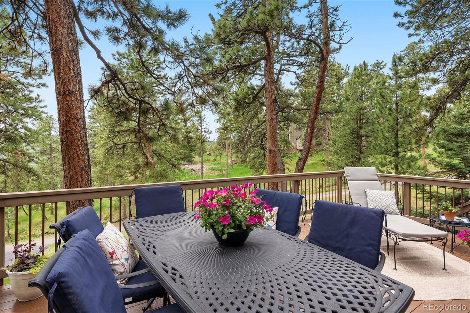 MLS Image #20 for 29962  troutdale ridge road,evergreen, Colorado