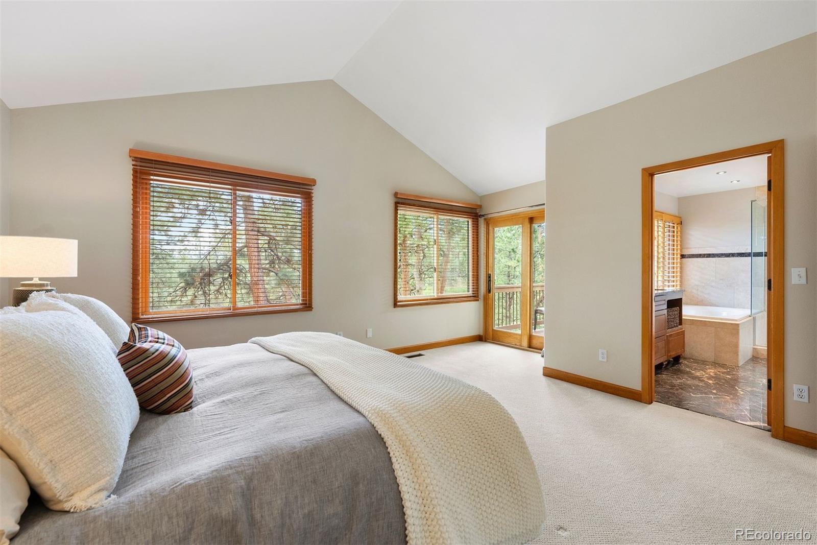 MLS Image #25 for 29962  troutdale ridge road,evergreen, Colorado