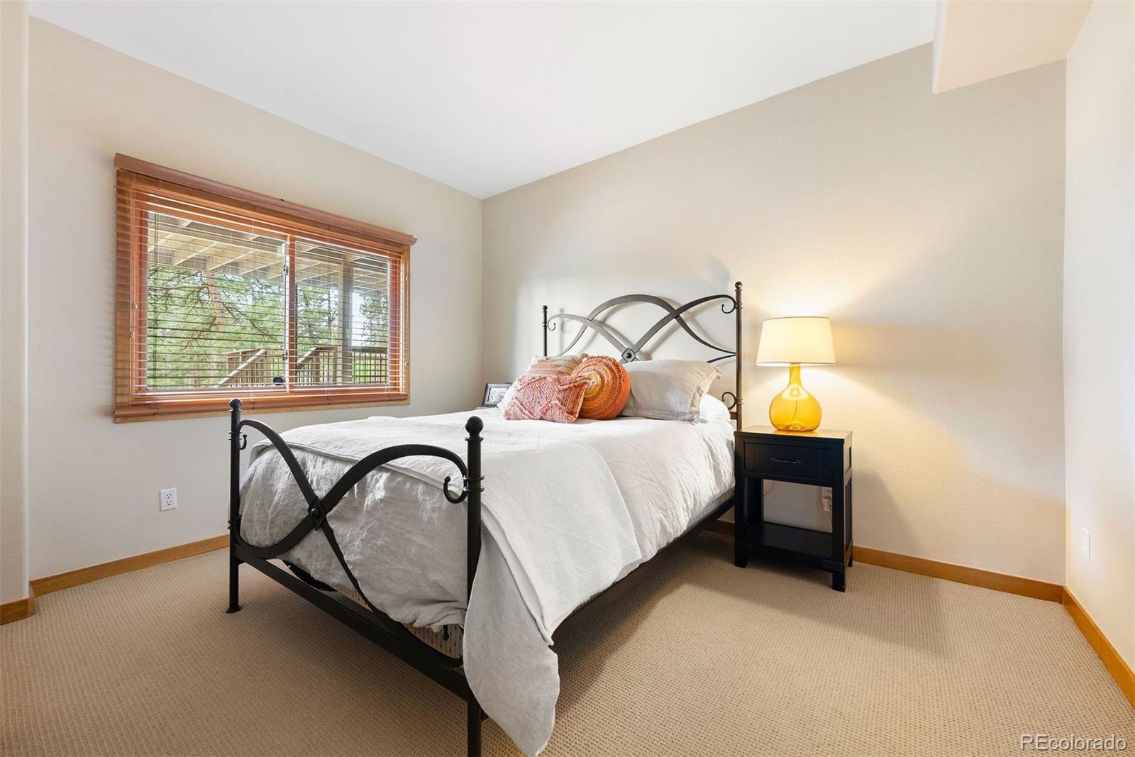 MLS Image #37 for 29962  troutdale ridge road,evergreen, Colorado