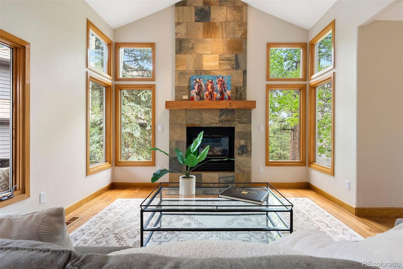 MLS Image #4 for 29962  troutdale ridge road,evergreen, Colorado